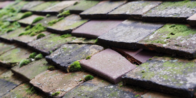 Dry Drayton roof repair costs